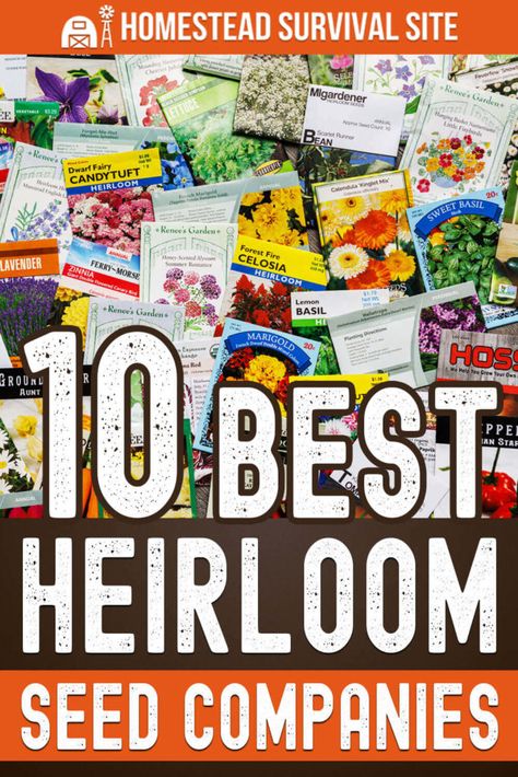 Heirloom Seeds Companies, Selling Seeds, Adobe Garden, Montana Garden, Heirloom Seeds Catalog, Heirloom Garden, Seed Companies, Save Seeds, Garden Catalogs