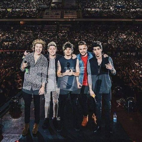 1D SAN SIRO 1d San Siro, One Direction Group, 1d Concert, One Direction Collage, Come On Eileen, Where We Are Tour, You're Perfect, One Direction Concert, One Direction Photos