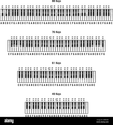 Download this stock vector: Piano keyboards in standard 88 key, 76 key, 61 key and 49 key layouts, with labels, isolated vector illustration - 2BPBC8D from Alamy's library of millions of high resolution stock photos, illustrations and vectors. 36 Key Keyboard Notes, Piano Labels Keys, 61 Key Keyboard Notes, Piano Basics Learning, Piano Keys Labeled, Yamaha Piano Keyboard, Piano With Letters, Piano Chart, Piano Keyboard Notes