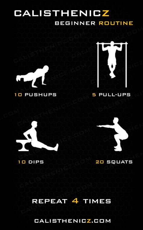 Garage Calisthenics Gym, Pull Calisthenics Workout, Calisthenics Workout Split, Calisthenics Exercises For Beginners, Calisthenics Training Workout Routines, Basic Calisthenics Exercises, Calisthenics Pull Workout, Pull Up Beginner Workout, Back Calisthenics Workout