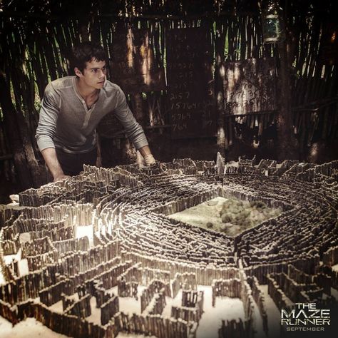 The runners map the maze every night, hoping to find a hidden code, message, or exit. They later on do find a code, which must be inputted into a computer to open the exit to the maze. Maze Runner 1, Scorch Trials, Maze Runner Thomas, Maze Runner The Scorch, Maze Runner Trilogy, Maze Runner Cast, Maze Runner Movie, Newt Maze Runner, The Scorch