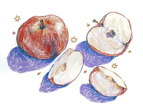 Apple Still Life, Picking Apples, 캐릭터 드로잉, Arte Inspo, Sketchbook Inspiration, Funky Art, Art Reference Poses, 그림 그리기, Pretty Art