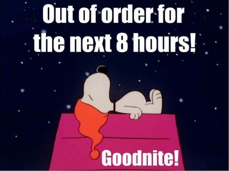 Good Night Meme, Funny Good Night Images, Goodnight Snoopy, Funny Good Night Quotes, Good Night Sleep Well, Good Night Funny, Good Night Images, Out Of Order, Snoopy Funny