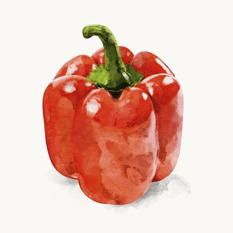 Watercolor tomato clipart, vegetable illustration | Premium PSD Illustration - rawpixel Pepper Watercolor, Tomato Clipart, Watercolor Tomatoes, Vegetable Drawing, Watercolor Food Illustration, Vegetable Painting, Vegetable Illustration, Learn Watercolor Painting, Watercolor Food