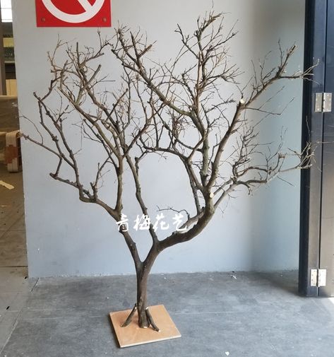 Dry Tree Branches Decoration, Branch Projects, Plum Blossom Art, Reunion Quotes, Dried Tree Branches, Nature Cottage, Tree Props, Door Tree, Manzanita Tree