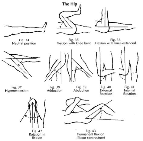 Hip Mobility Article 1 Hip Movement, Psoas Muscle, Hip Mobility, Medical Anatomy, Tight Hips, Joints Pain Relief, Medical Knowledge, Senior Fitness, Hip Flexor