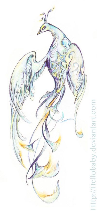 How to draw a fantasy bird by Hellobaby.deviantart.com on @deviantART Otherworldly Creatures, Fantasy Birds, Fantasy Bird, Draw Birds, Animal Vector, Bird Sketch, Bird Drawing, Phoenix Art, New Fantasy