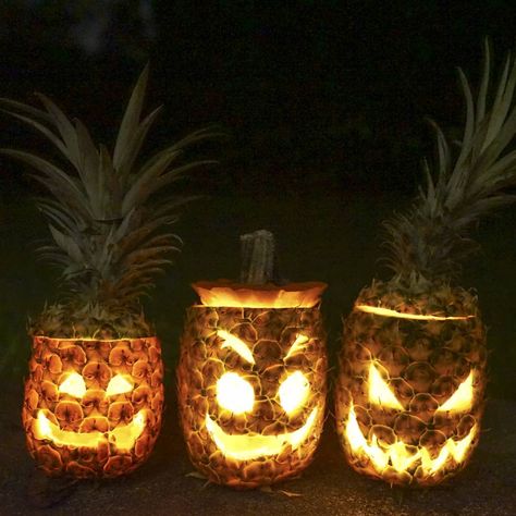 Pineapple Carving, Tropical Halloween, Tropical Room Ideas, Tropical Decorations, Beach Halloween, Carving Fruit, Tropical Interiors, Fall Graphics, Amazing Pumpkin Carving