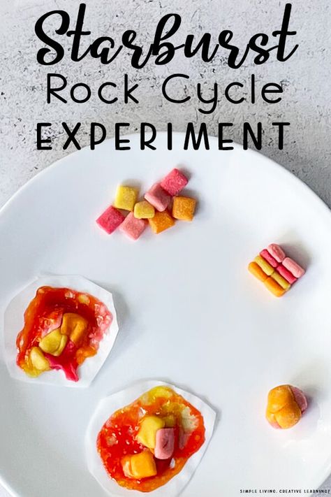 Starburst Rock Cycle, Rock Cycle For Kids, Rock Cycle Project, Rock Cycle Activity, Rock Experiments, Fossils Activities, Earth Science Projects, Rock Unit, Rock Science