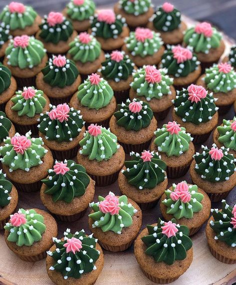 Morgy Cakes, LLC | Some cute little cactus minis! 🌵 • • • #homemade #fromscratchbaking #homebaker #selftaughtbaker #buttercream #cupcakes #cupcakedecorating… | Instagram Cupcake Decoration Birthday, Cool Cupcake Decorating Ideas, Western Party Cupcakes, Diy Cactus Cupcakes, Desert Theme Cupcakes, Taco Themed Cupcakes, Cute Mini Cupcakes, Cactus Food Ideas, Mexican Fiesta Cupcakes