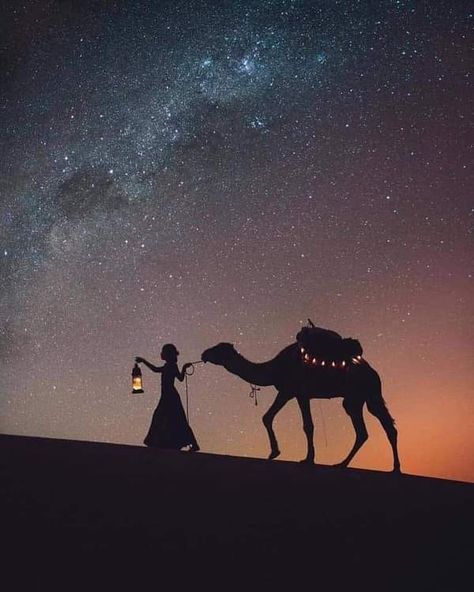 Arabian Nights Aesthetic, Wedding Illustration Card, Desert Nomad, Arabian Princess, Desert Sahara, Desert Aesthetic, Arabian Night, Desert Tour, Desert Dream