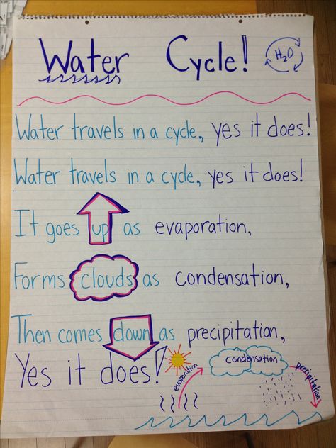 Water cycle song inspired from Pinterest! Sung to the tune of She'll Be Coming Around the Mountain Water Cycle Second Grade, Air And Water Grade 2 Science, Water Cycle Song, Water Cycle Project, Water Cycle Activities, Water Lessons, Water Unit, Grade 2 Science, Science Anchor Charts