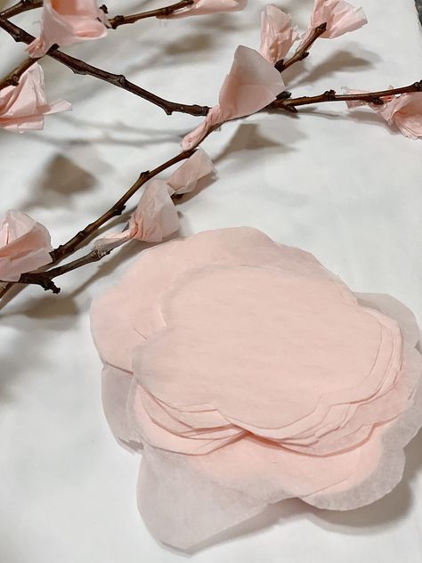 Cherry Blossoms Diy, Branch Diy, Cherry Blossom Decor, Origami Paper Craft, Cherry Blossom Branches, Flowers In The Attic, Branches Diy, Blossom Branch, White Cherry Blossom