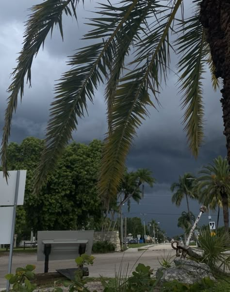 Rainy Florida Aesthetic, Tropical Storm Aesthetic, Summer Storm Aesthetic, Swamp Goth, Florida Gothic, Places For Vacation, Florida Storm, Rainy Clouds, Florida Trees