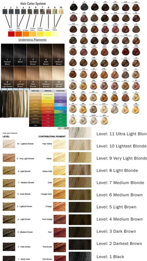 Samples of hair color levels and underlying pigments klaudia finch Hair School Cosmetology, Hair Bun Quotes, Types Of Hair Color, Hair Science, Square Face Hairstyles, Hair Color Formulas, Hair School, Brunette Hair With Highlights, Plaits Hairstyles