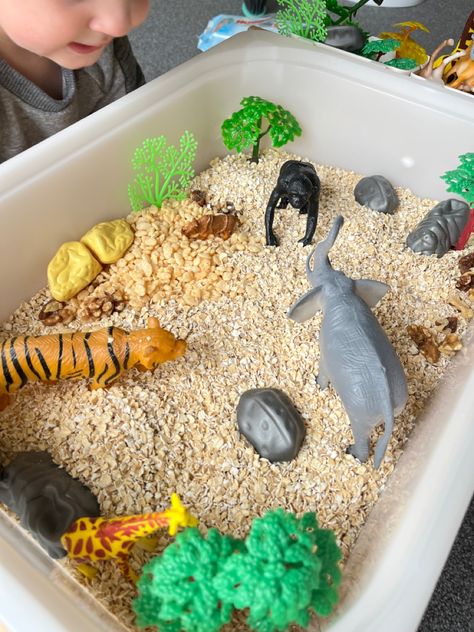 A tray lined with oats and rice cereal, with small plastic animals standing around the endges Sensory Rice Bin Ideas, Animal Sensory Bin, Feelings Activities Preschool, Baby Room Activities, Jungle Activities, Trofast Ikea, Sensory Play Toddlers, Diy Sensory Board, Lesson Plans For Toddlers