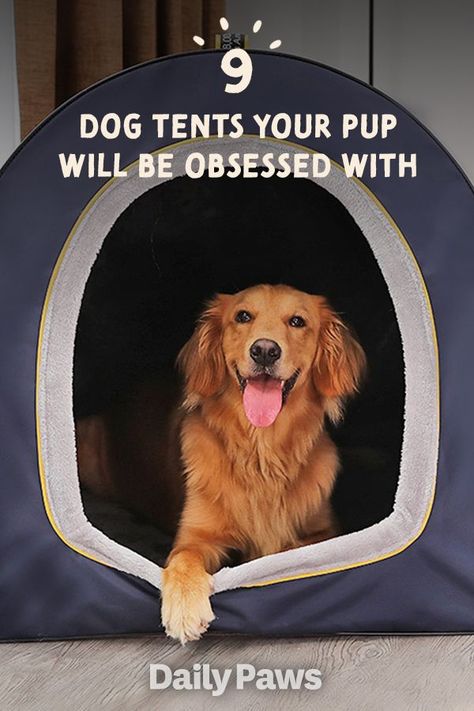 Find a tent that's great for true camping outside with your pet, or simply for lounging in at home. You'll find the perfect tent for every size and kind of dog! #petessentials #petgear #pettoys #treats #dogtoys #cattoys #cattreats #dogtreats #petexperience Diy Dog Tent, Dog Tent Diy, Diy Dog Tent Bed, Dog Bed With Canopy, Dog Bed With Canopy Diy, Dog Tents Indoor, Dog Tent Bed, Dog Canopy Bed, Tent Camping Beds Dog