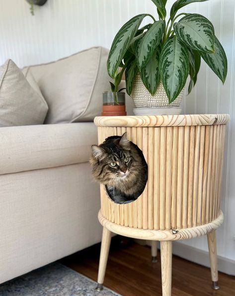 Cat Furniture Got Cool — Reserve Home Wood Cat House, Cat Furniture Design, Cat Patio, Cozy Nooks, Modern Cat Furniture, Cat Wall Furniture, Cat House Diy, Cat Lounge, Cat Perch