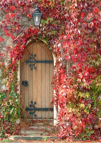 . Cottage Door, When One Door Closes, Door Inspiration, Cool Doors, Door Gate, Old Door, Garden Doors, Old Doors, Unique Doors