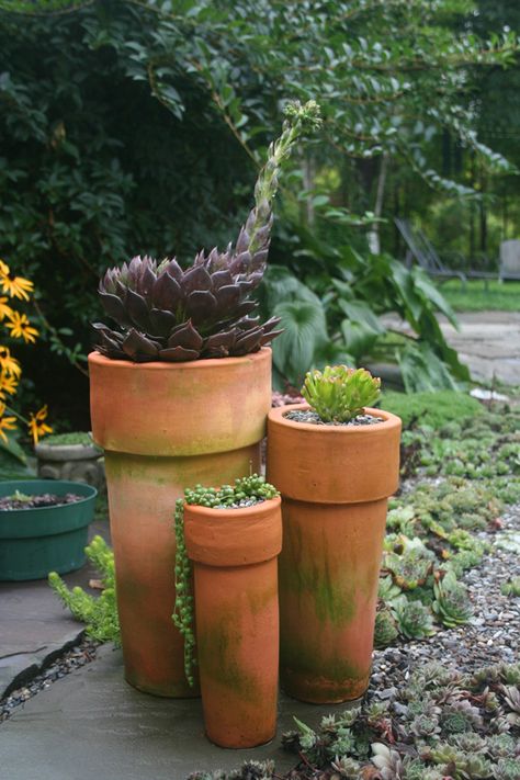 Tall Pots, Cactus Garden Landscaping, Backyard Ideas For Small Yards, Recycled Garden, Easy Landscaping, Small Yard, Landscaping Tips, Cactus Garden, Succulent Pots