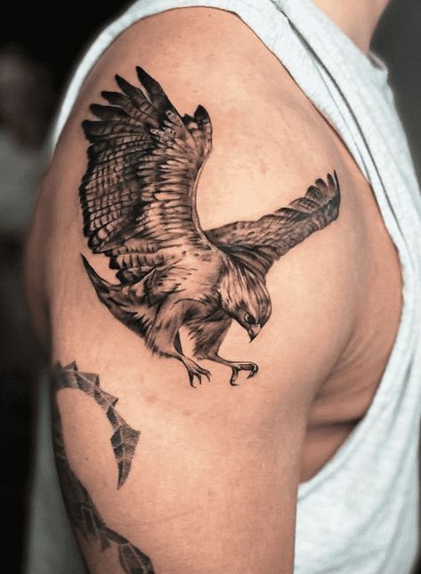 Hawk Tattoo Design Ideas Images Sparrow Hawk Tattoo, Hawk Tattoo Men, Hawk Tattoo Design, Jesse Tattoo, Falcon Tattoo, Harris Hawk, Hawk Tattoo, Wolf Tattoo Design, Tattoo Design Ideas