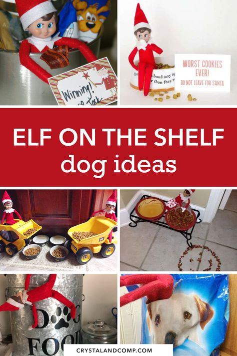 Elf On The Shelf Ideas For Dogs, Elf On The Shelf Puppy Ideas, Elf On The Shelf Dog Treats, Introducing New Elf Pet, Elf On The Shelf Ideas With Pet Dog, Elf On A Shelf Dog Ideas, Elf And Pet Ideas On The Shelf, How To Introduce Elf On The Shelf Pet, Elf Dog Ideas