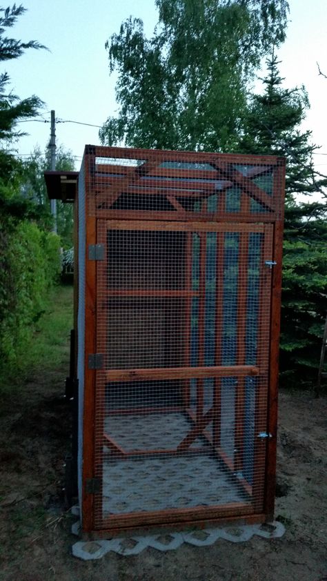 Outdoor Aviary, Aviary Ideas, Diy Bird Cage, Paver Blocks, Bird Houses Ideas Diy, Bird Aviary, Diy Shades, Outdoor Paradise, Easy Backyard