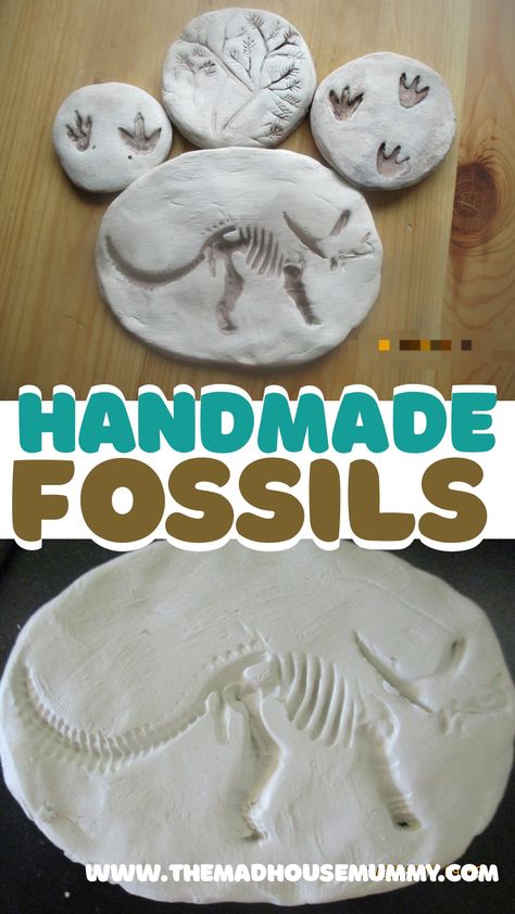 These sweet little handmade fossils are the prefect craft for children who love dinosaurs and archaeology! Diy fossil craft for kids. #craftsforkids #claycraftsforkids #fossilhunting #craftsforpreschoolers #dinosaurcrafts Make Your Own Fossils, How To Make Dinosaur Fossils, Fossil Imprint Activity, Kids Fossil Dig, Diy Fossil Dig How To Make, Fossil Projects For Middle School, Making Fossils With Kids, Diy Dinosaur Fossils, Archeology Activities For Kids