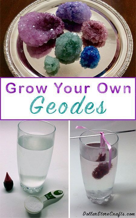 Oppgaver For Barn, Kid Science, Kid Experiments, Ideas Food, Food Diy, Science Experiments Kids, Dollar Store Crafts, Tutorial Diy, Cool Diy Projects