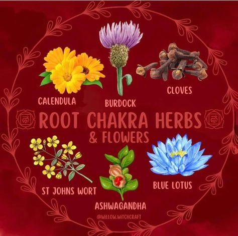 Spiritual Garden, Chakra Health, Root Chakra Healing, Plant Magic, Kitchen Witchery, Magical Herbs, Burdock Root, Garden Idea, Herbal Healing