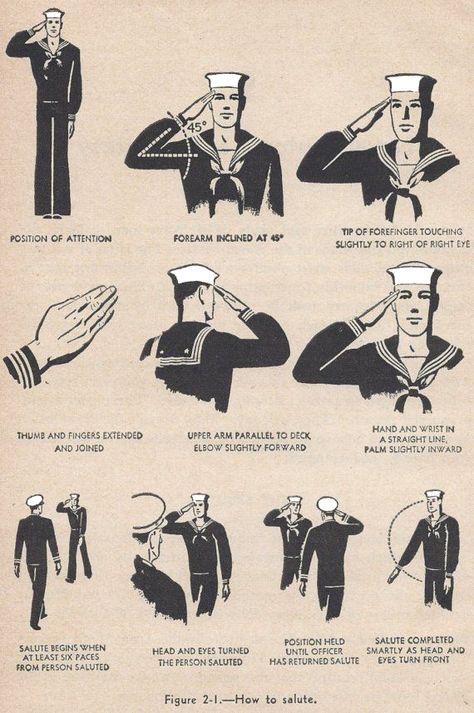 Explanation of the different salutes Military Salute, Navy Seabees, Military Ranks, Navy Day, Go Navy, Navy Life, Navy Chief, Black And White Illustrations, Hand Signals