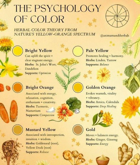 Color Therapy Healing, Herbal Education, Colour Psychology, Green Witchcraft, Color Healing, Witch Spirituality, Magic Herbs, Colors And Emotions, Herbal Magic