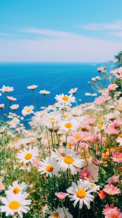 Summer wallpaper outdoors horizon blossom. | free image by rawpixel.com Nature, Wallpaper Outdoors, Spring Iphone Wallpaper, Iphone Wallpaper Ocean, Summertime Aesthetic, 2025 Planner, Wallpaper Ocean, Spring Scenery, Aesthetic Patterns