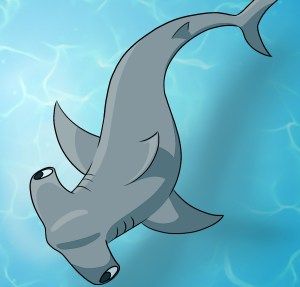 How To Draw A Hammerhead Shark Hammerhead Shark Drawing, Shark Drawing Easy, Bugs Drawing, Mystery Island, Shark Drawing, Shark Coloring Pages, Shark Art, Creatures Art, Drawing Heads