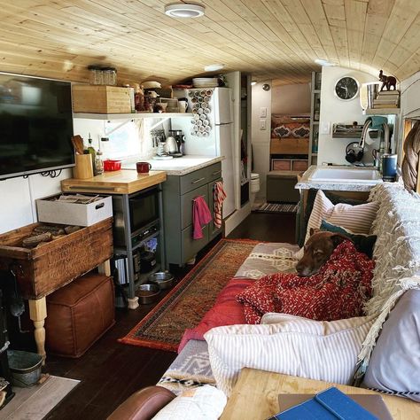 Rio the Bus on Instagram: “Enjoying my day off in a bright, cozy, and clean-enough-for-a-photo #skoolie with my #bestpal Foster the #skooliedog 🚌❤️🐶 #skooliedogz…” Fiberglass Camper, Garden Huts, Tiny Beach House, Converted School Bus, Caravan Home, School Bus Conversion, Bus House, Cosy Living, Rv Renovations