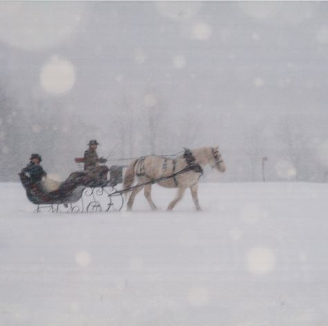 Dashing Through the Snow Snow Sleigh, Horse Drawn Sleigh, Wonderland Christmas, Sleigh Rides, A Snowy Day, I Love Snow, Dashing Through The Snow, Trees Christmas, Winter's Tale