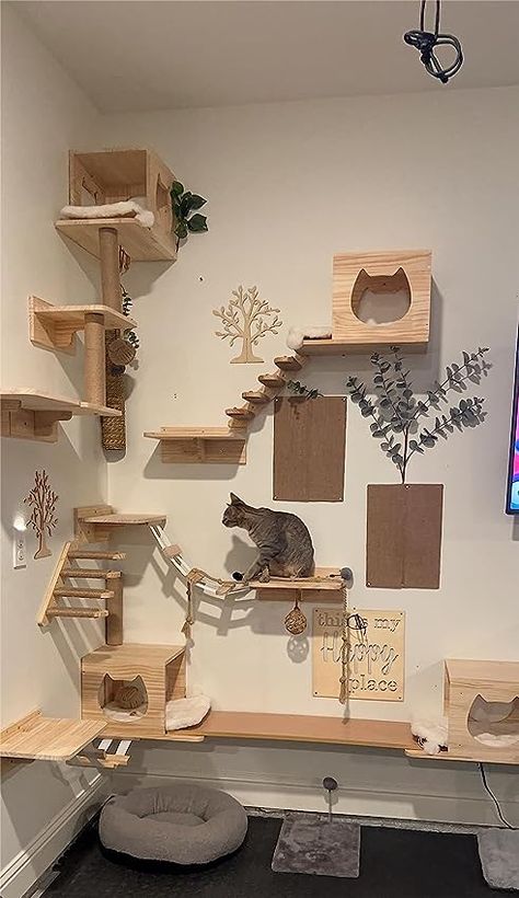 Related Posts - Amazon.com Cat Climbing Wall Shelves, Cat Room Diy, Cats Room, Cat Room Decor, Cat Climbing Wall, Kat Diy, Cat Area, Cat Bedroom, Cutest Pets