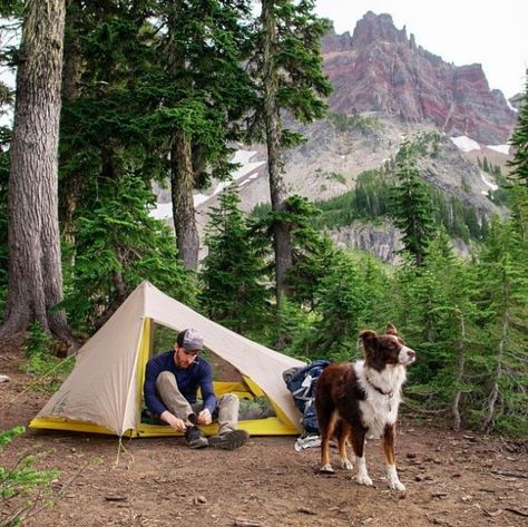 Camping With Dogs, Man And His Dog, Best Tents For Camping, Things To Keep In Mind, Dog Camping, Hiking Dogs, Dog Adventure, Dog Hacks, Camping Activities