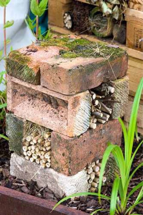 Bug Motel, Bug Houses, Bug Hotels, Diy Garden Landscaping, Bug House, Bee Friendly Garden, Brick Projects, Bee Hotel, Bug Hotel