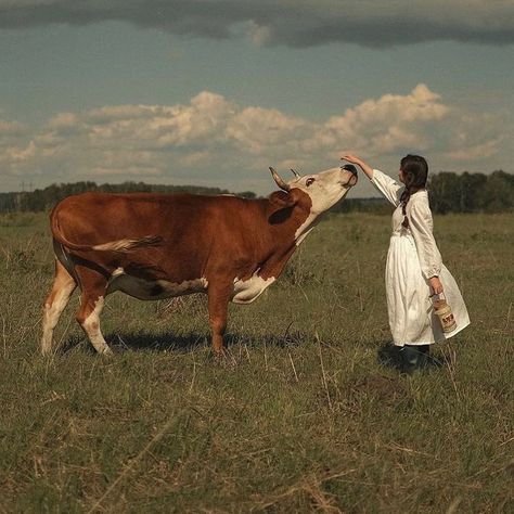 REGENERATIVE TALLOW® 🌾 on Instagram: “Summer Solace Tallow Brings New Life to Ancient Traditions with Local, Tallow-Based Skincare. 🌾 Northern California- Summer Solace Tallow,…” Prairie Aesthetic, Foto Cowgirl, Serial Experiments Lain, White Cow, A Cow, Nature Aesthetic, Country Life, Farm Life, Farm Animals