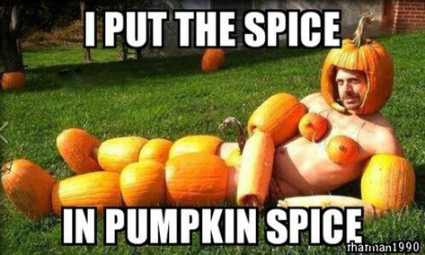 13 of the best pumpkin memes to make your day a little better Pumpkin Meme, Funny Halloween Pictures, Funny Halloween Memes, Top 10 Halloween Costumes, Halloween Meme, Halloween Fest, Halloween Memes, Pumpkin Man, Pumpkin Costume