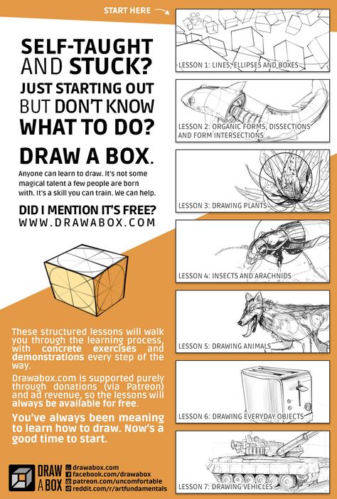 Fundamentals Of Drawing, Draw A Box, Anatomy Tutorial, Drawing Exercises, Plant Drawing, Arts Ed, Pop Surrealism, Bts Drawings, Drawing Lessons