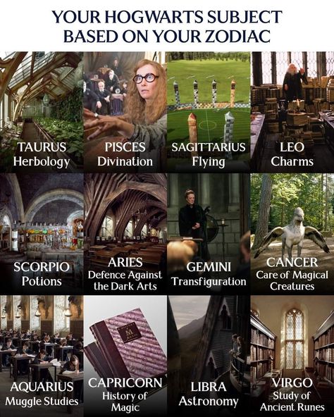 I love my Subject ❣️ Hogwarts Subjects, Based On Your Zodiac Sign, Hogwarts School, Study Tips, Just For Fun, Zodiac Sign, Subjects, Hogwarts, Zodiac Signs