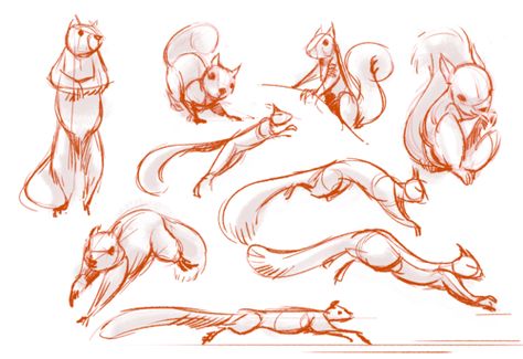 This is not a human, but the sleek posture of the squirrel reminds me of a cat. Could prove useful. Sketches Of Animals, Human Animation, Character Design Tutorial, Squirrel Art, Person Cartoon, Animal Study, Animal Sketches, Drawing Tutorials, Character Design References