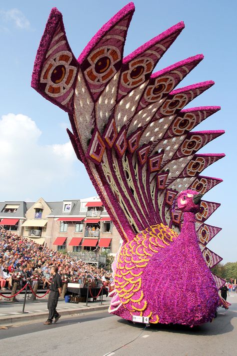 Parade Floats Adorned with Thousands of Dahlia Flowers at Corso Zundert 2014  http://www.thisiscolossal.com/2014/09/corso-zundert-flower-parade-2014/