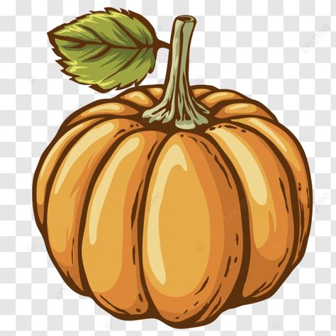 pumpkin vector illustration design template vegetables halloween pumpkin png Pumpkin Cute Illustration, Pumpkin Vector Illustration, Pumkin Drawing Cartoon, Halloween Vegetables, Pumpkin Drawing, Pumpkin Illustration, Pumpkin Vector, Pumpkin Png, Vector Illustration Design