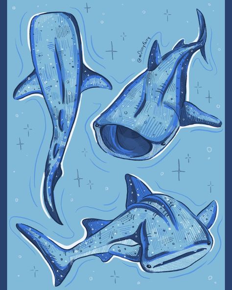 i’m currently obsessed with whale sharks so here are some sketches 🥹🩵 aren’t they so cute ???? ___ #art #artist #artistic #sketch #sketches #sketching #sketchdaily #sketchbook #sketchbooks #sketchbookart #whaleshark #whalesharks #whalesharkswimming #digitalart #digitalartist #digitalsketching #digitalsketchbook #procreate #shark #sharks #sharkdrawing Whale Shark Art Cute, Wale Sharks Drawing, Whale Shark Drawing Cute, Thresher Shark Drawing, Whale Shark Watercolor, Whale Shark Sketch, Shark Drawing Sketches, Sharks Drawing, Whale Shark Drawing