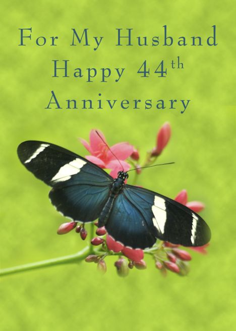 Happy 44th Anniversary for My Husband, Butterfly on Red Flower card #Ad , #ad, #Anniversary, #Husband, #Happy, #Flower Happy 24th Anniversary To My Husband, Happy 54th Anniversary, Happy 51st Anniversary, Happy 42nd Anniversary, Happy 34th Anniversary, Happy 33rd Anniversary, Happy 38th Anniversary, Happy 23rd Anniversary, Happy 26th Anniversary