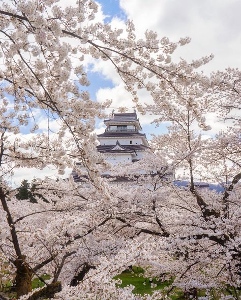 Aesthetic Japan, Fukushima, Japan Photo, Places Around The World, Bucket List, Castle, Around The Worlds, Japan