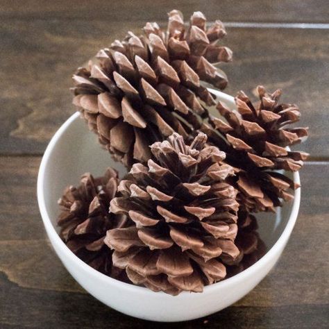 DIY Cinnamon Scented Pinecones Natal, Nature, Pinecones Ideas, Cinnamon Scented Pinecones, Pinecones Decor, Paint Pinecones, Cinnamon Pinecones, Scented Pine Cones, Cinnamon Scent